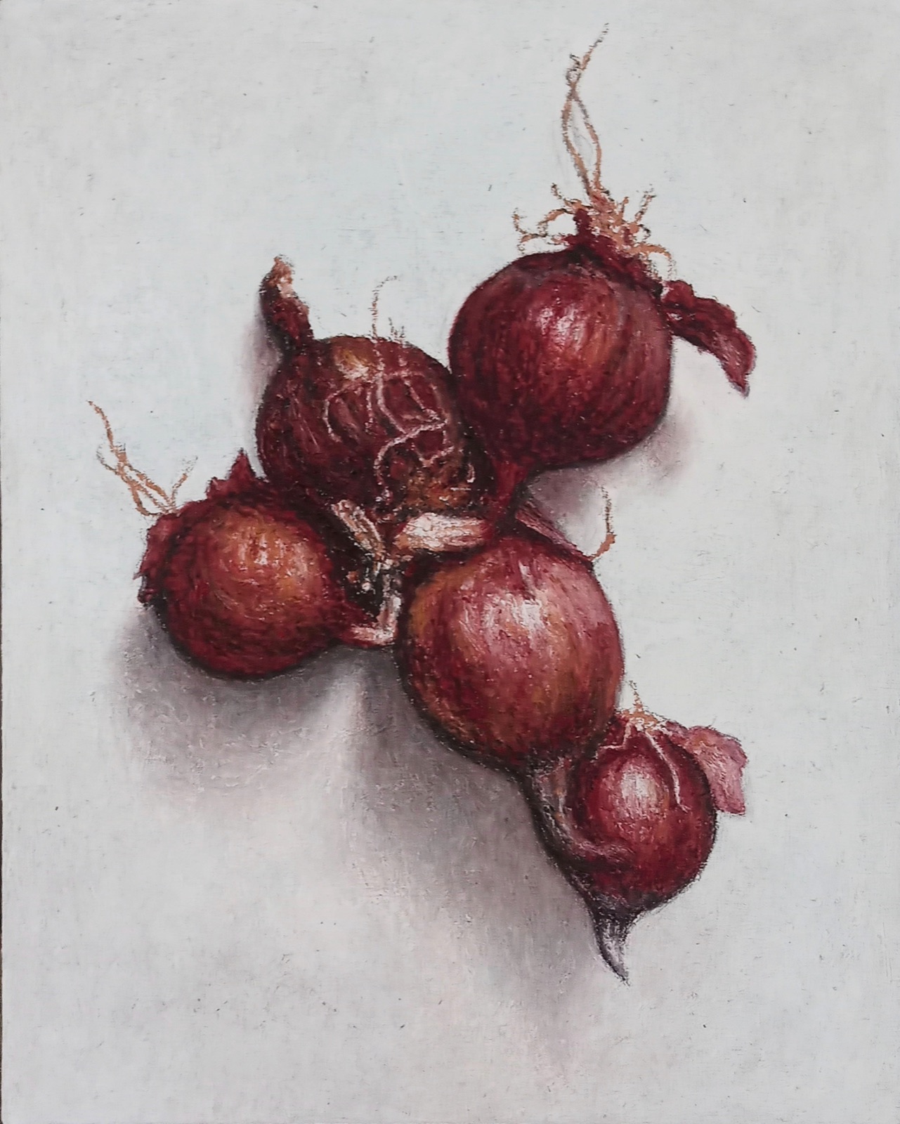 Barbabietole, studio a olio di Crizzo