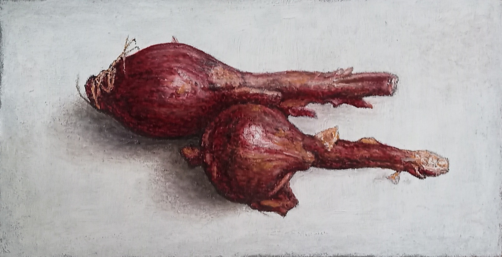 Cipolle, studio a olio di Crizzo