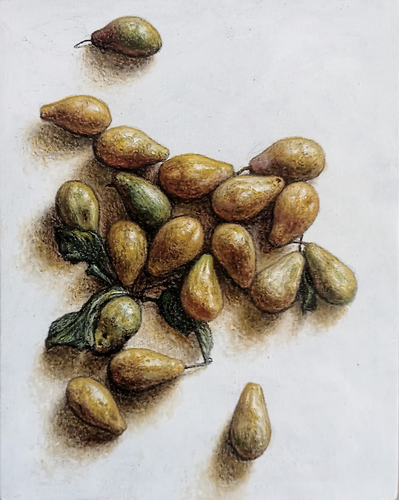 Prugne, studio a olio di Crizzo